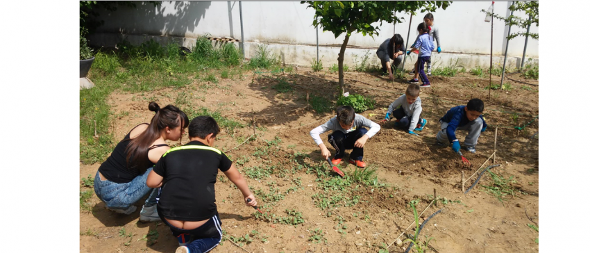 Alumnos del CEIP Esperanza Aponte de San Juan de Aznalfarache (Sevilla), realizan una actividad de huerto en el marco del programa de 