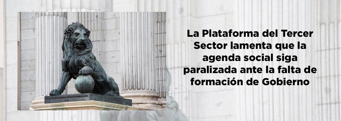 © Plataforma del Tercer Sector