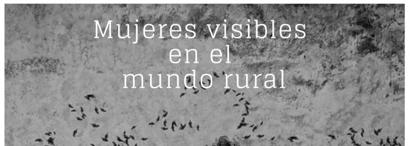 © COCEDER