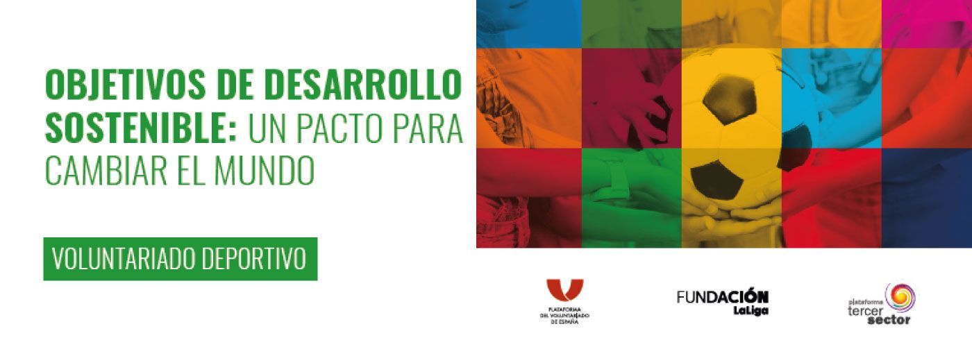 © Plataforma del Voluntariado de España